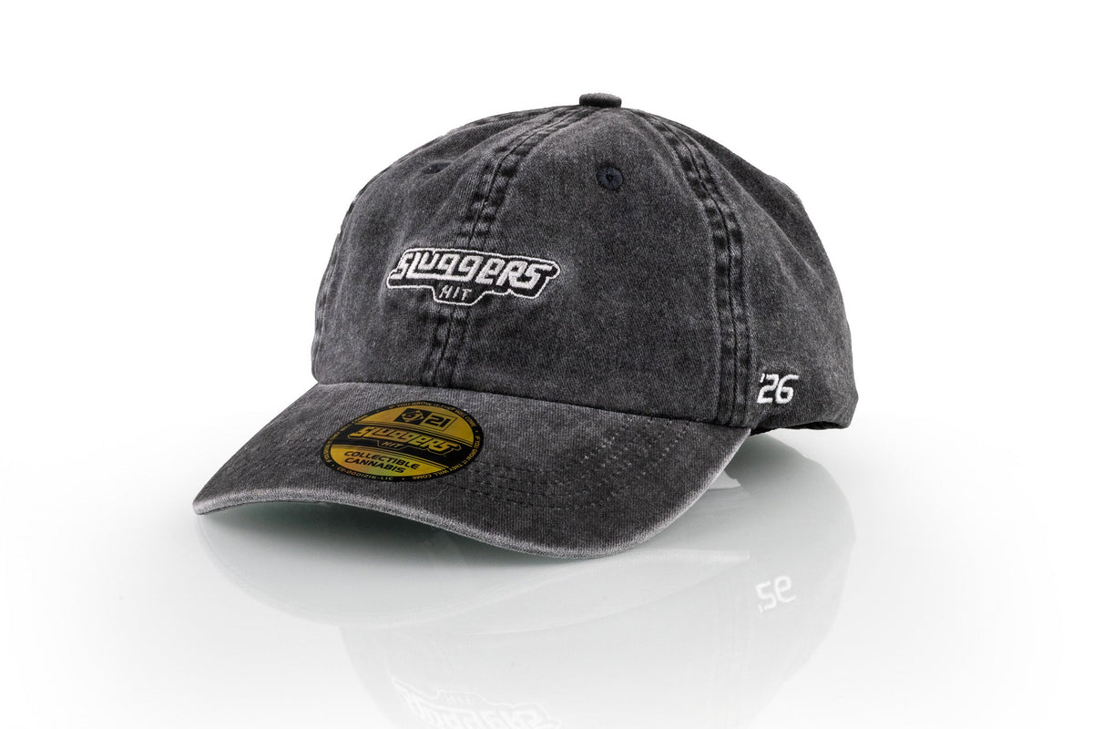 Washed Black Dad Hat, view 4