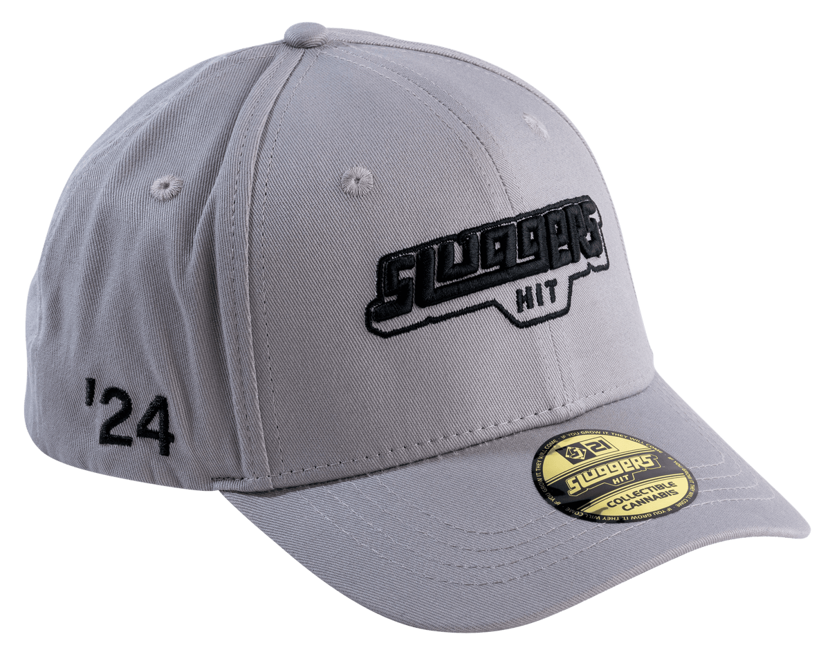 Classic Gray Hat, view 2