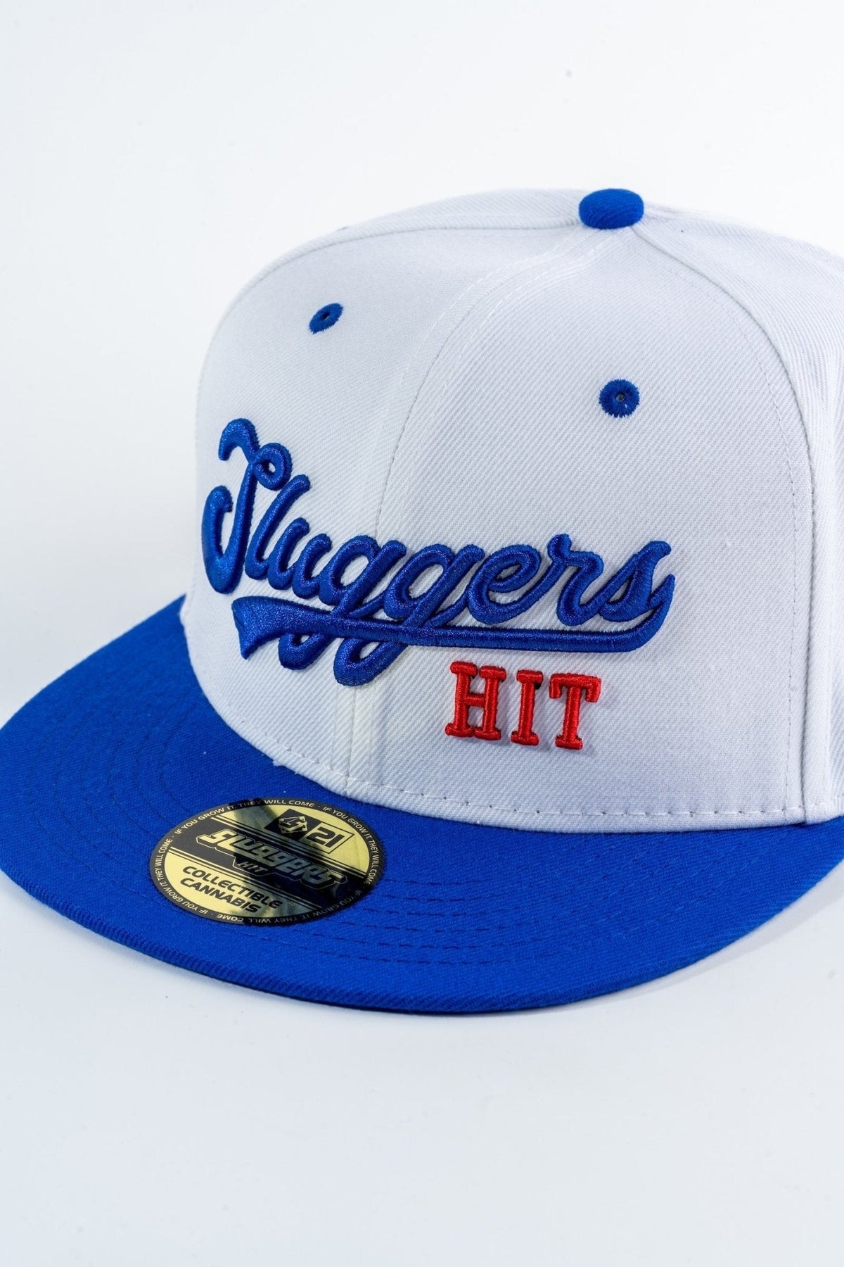 Los Angeles Blue Hat, view 9
